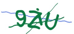 Identifying code