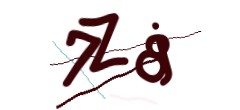 Identifying code