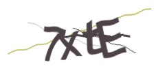 Identifying code