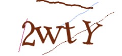 Identifying code
