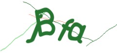 Identifying code