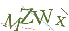 Identifying code