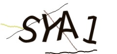 Identifying code