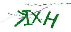 Identifying code