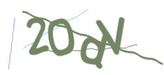 Identifying code