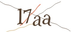 Identifying code