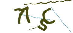 Identifying code