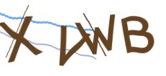 Identifying code