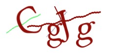 Identifying code