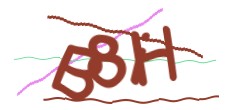 Identifying code