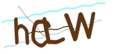 Identifying code