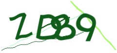 Identifying code