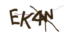 Identifying code