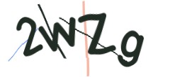 Identifying code