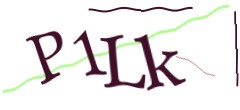 Identifying code