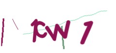Identifying code