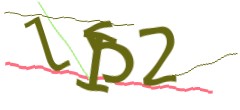 Identifying code