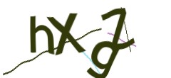 Identifying code