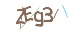Identifying code