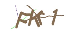 Identifying code