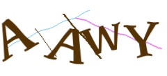 Identifying code