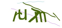 Identifying code