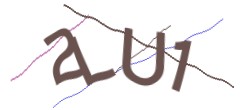 Identifying code