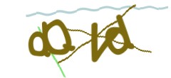 Identifying code