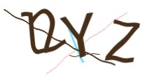Identifying code