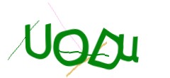 Identifying code