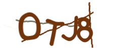 Identifying code