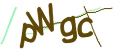 Identifying code