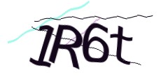 Identifying code
