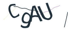 Identifying code