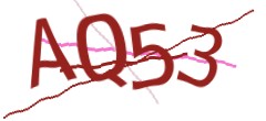 Identifying code