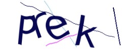Identifying code