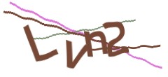 Identifying code