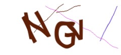 Identifying code