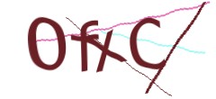 Identifying code