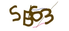 Identifying code