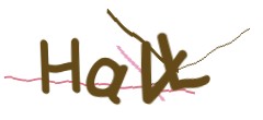 Identifying code