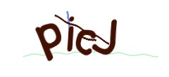 Identifying code