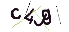 Identifying code