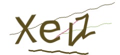 Identifying code