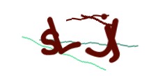 Identifying code