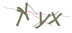 Identifying code