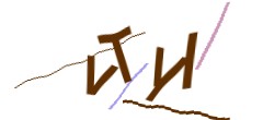 Identifying code