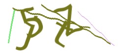 Identifying code
