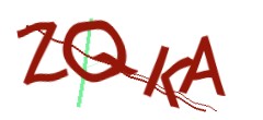 Identifying code