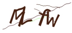 Identifying code